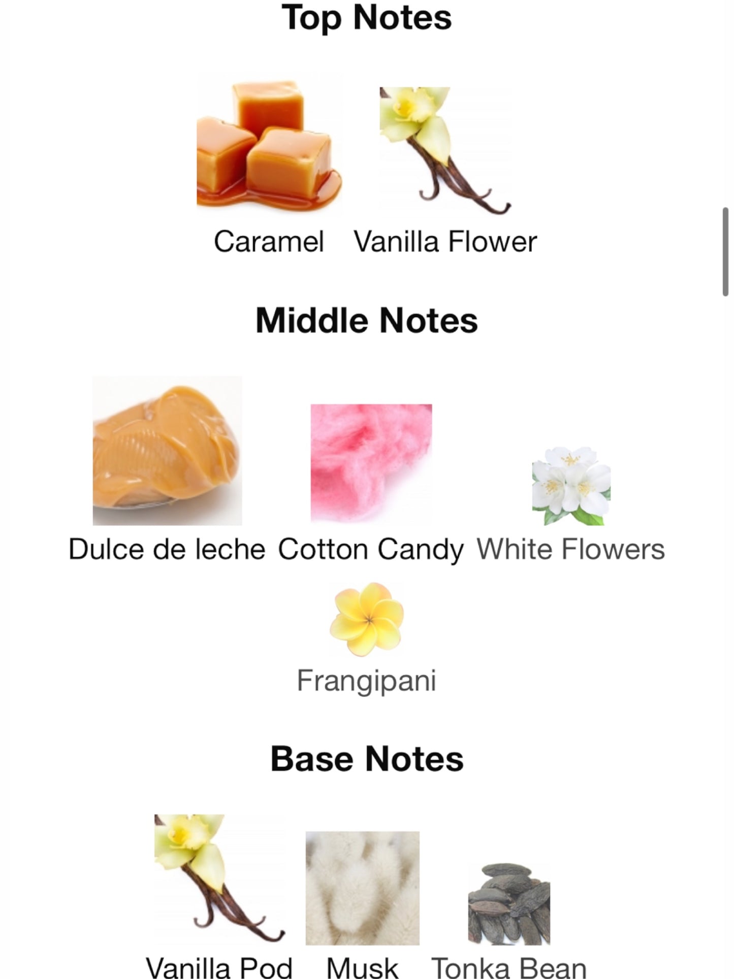 Caramelo Vanilla by New Notes Extrait de Parfum