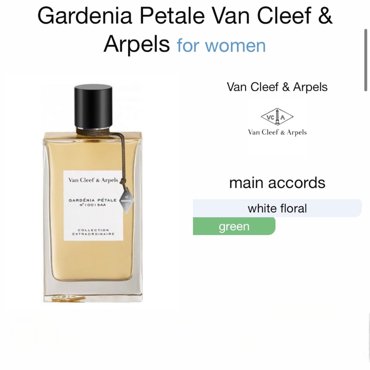 Gardenia Petale by Van Cleef & Arpels Eau de Parfum