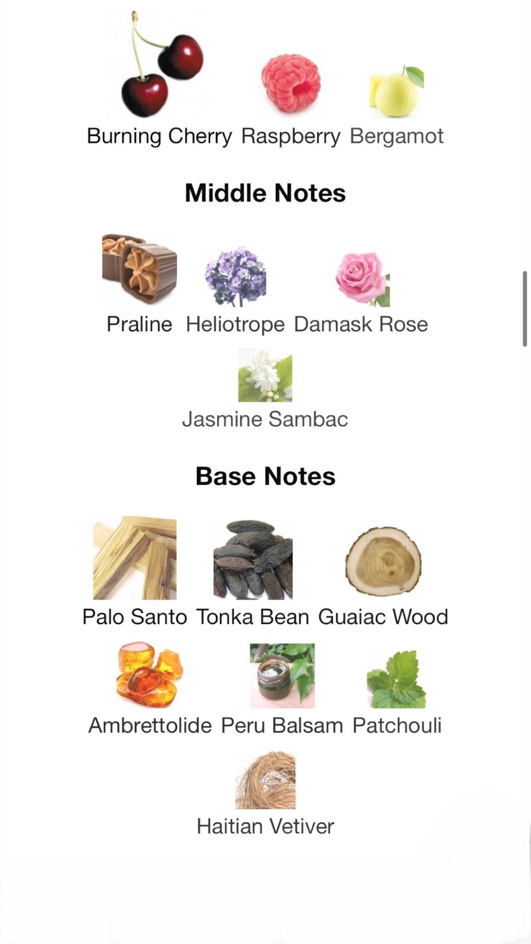 Lovefest Burning Cherry | 48 Eau de Parfum by Kayali Fragrances