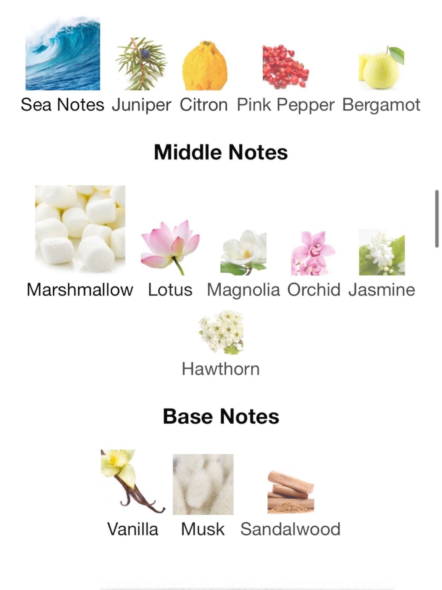 Царевна-Лебедь by Brocard Eau de Parfum