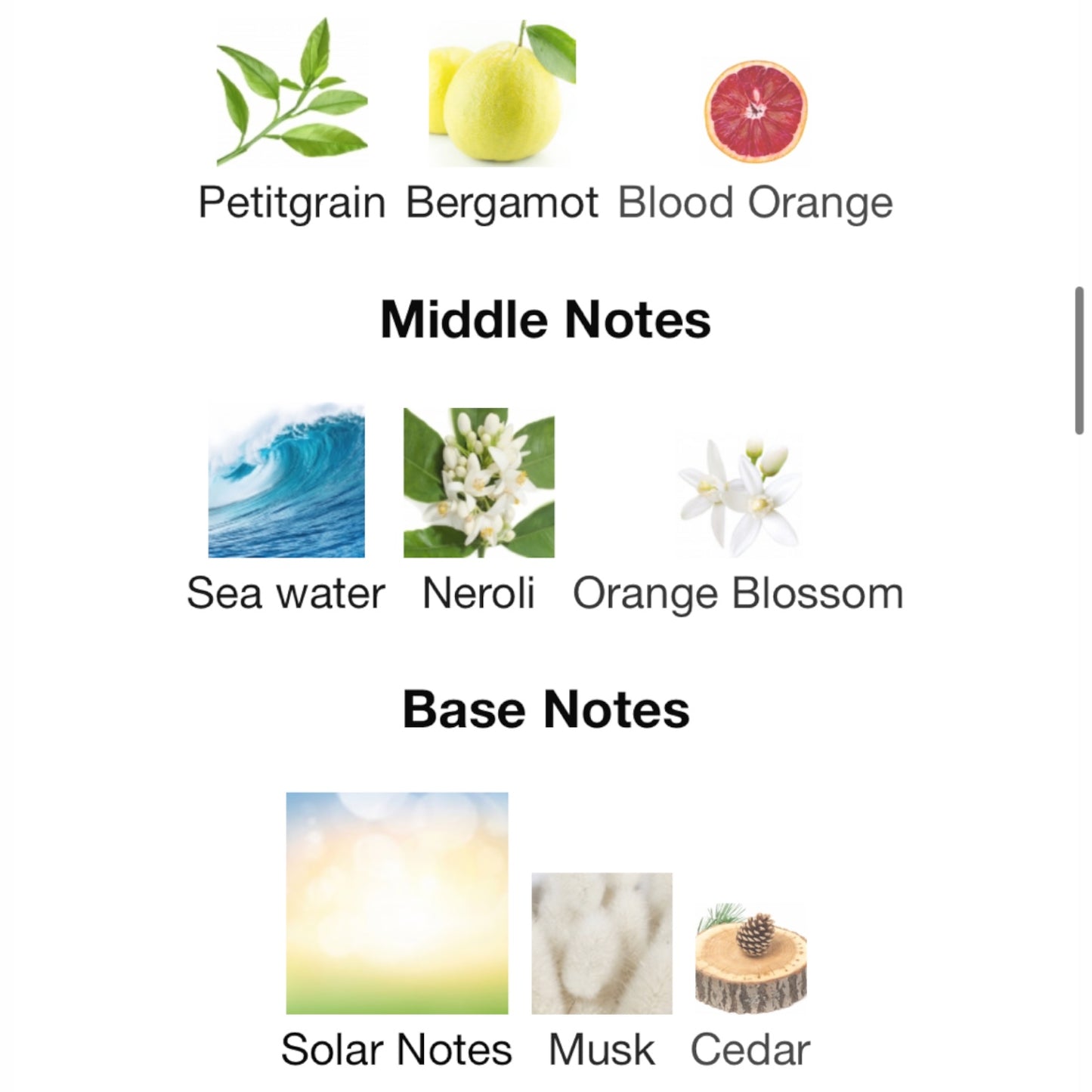 Tennis Club by Carner Barcelona Eau de Parfum