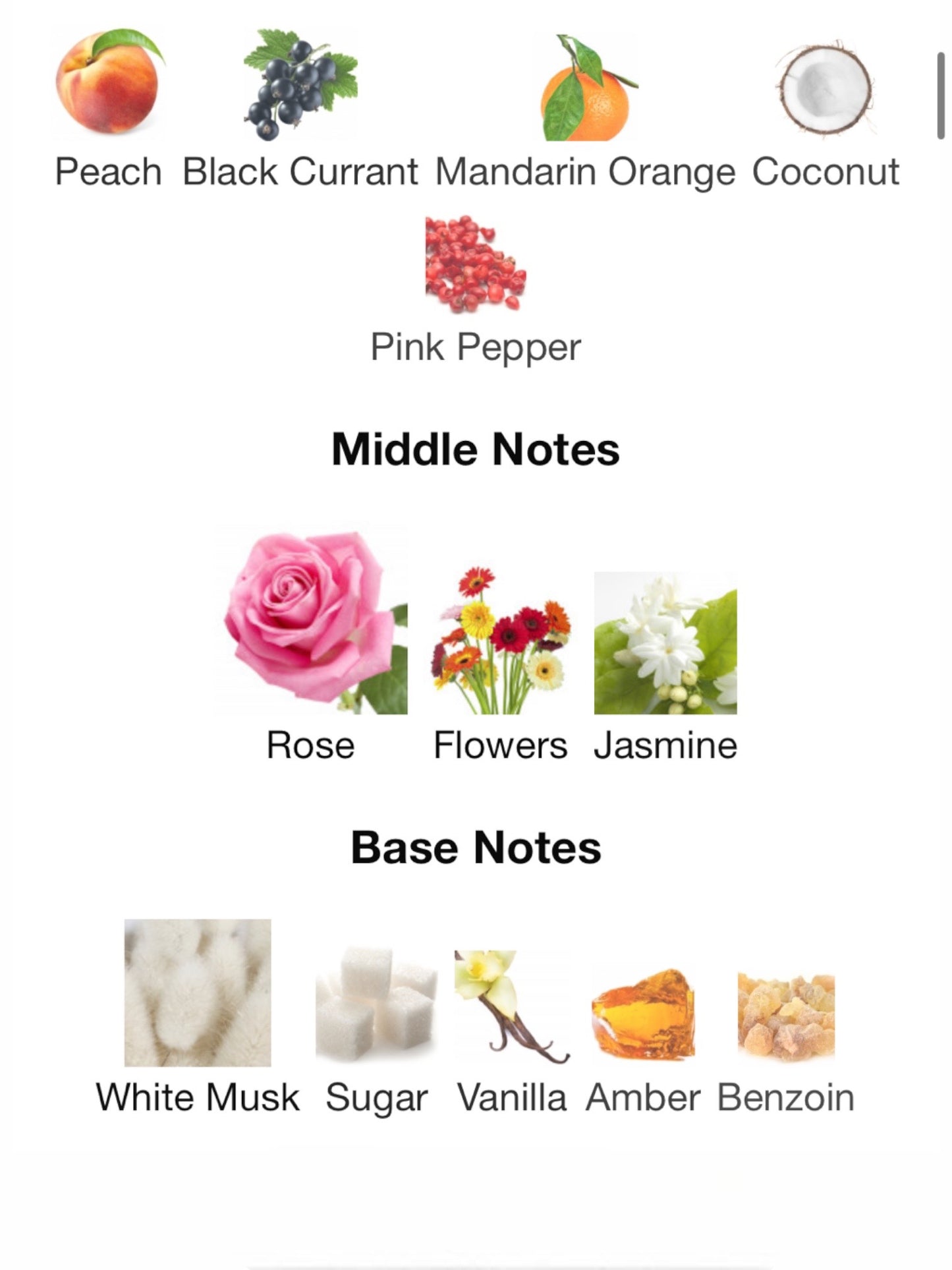 Roses Greedy by Mancera Eau de Parfum