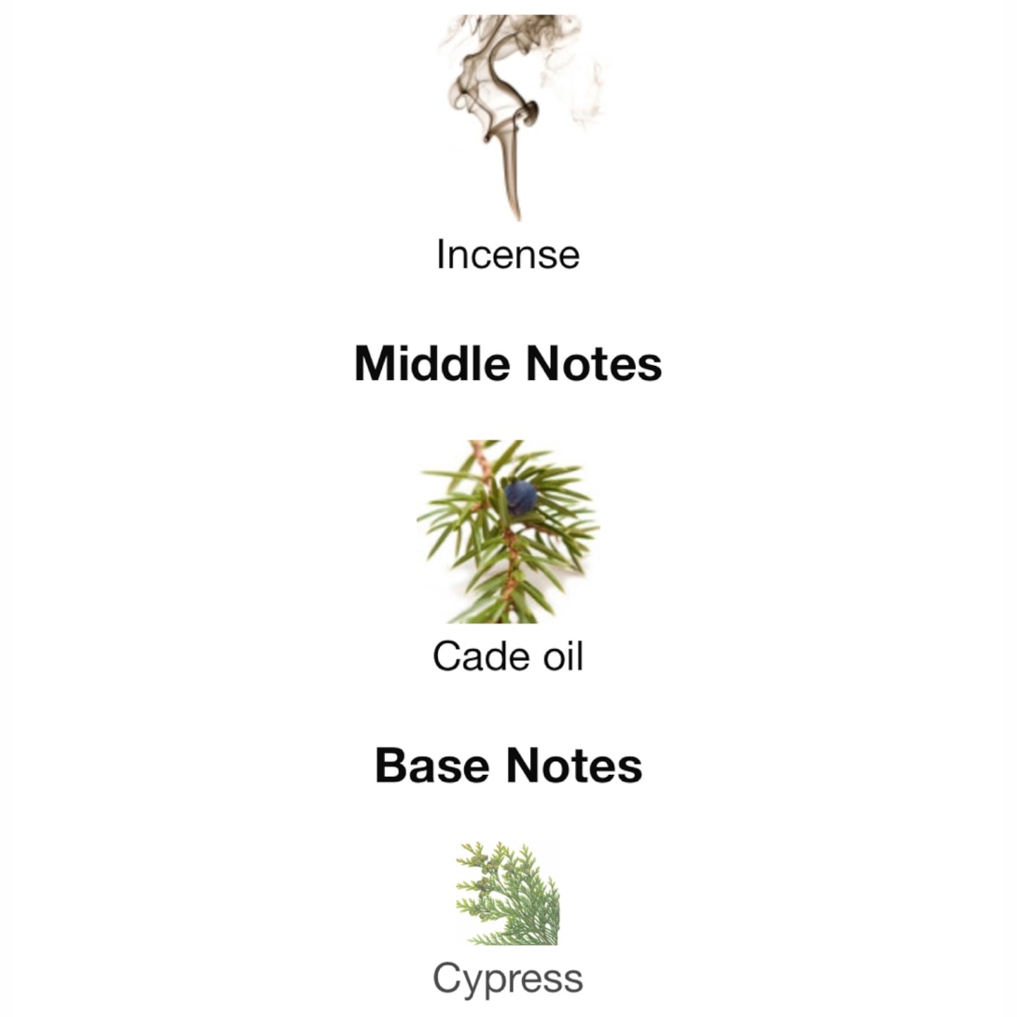 A Midnight Stroll by Gucci Eau de Parfum