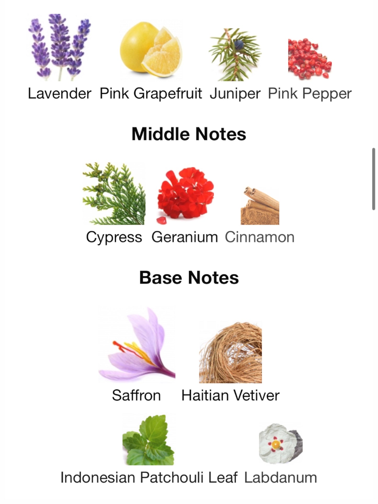 Beso Dorado by Beso Beach Perfumes Eau de Parfum