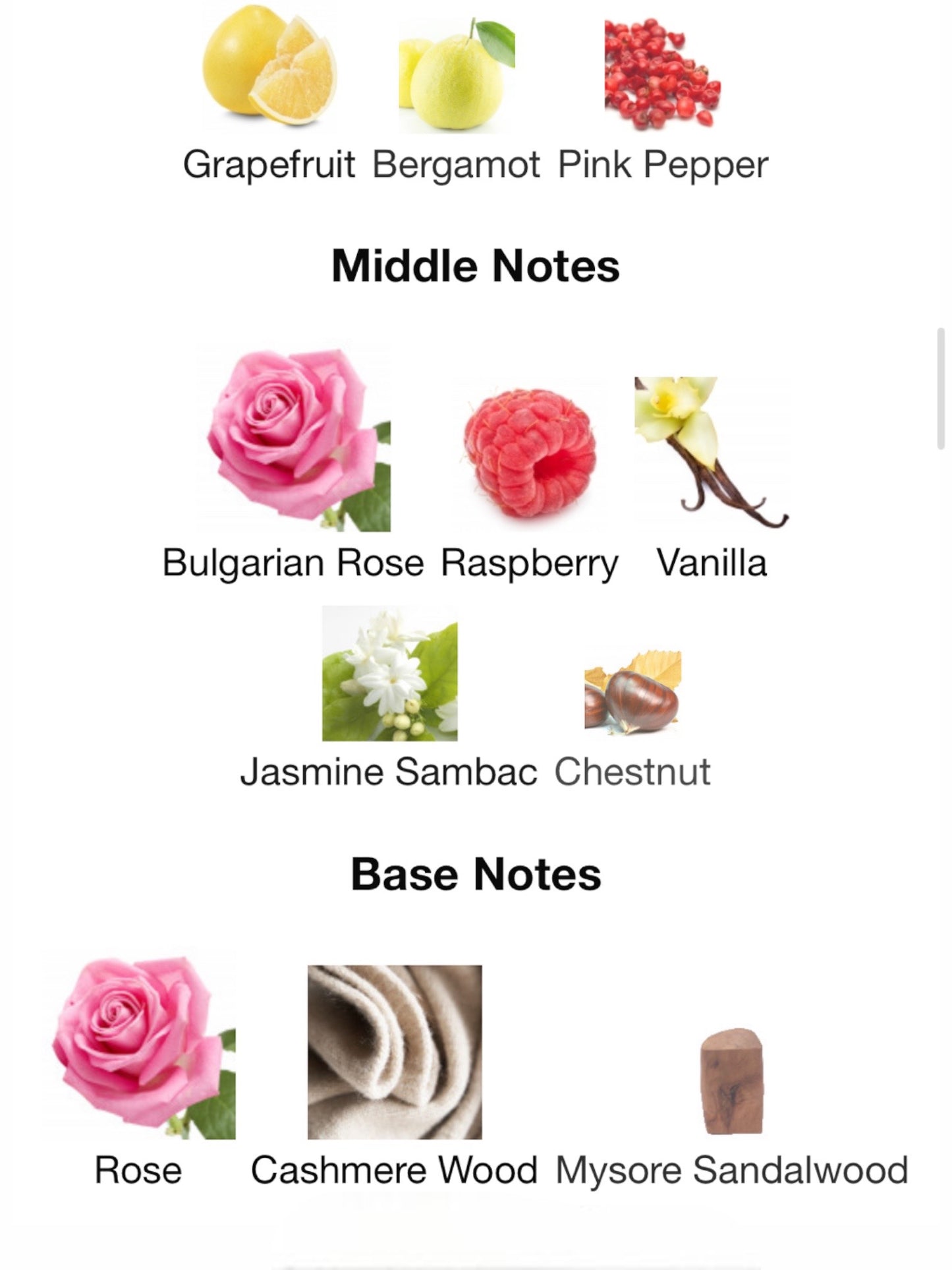 Adonis Awakens by Argos Perfume Eau de Parfum