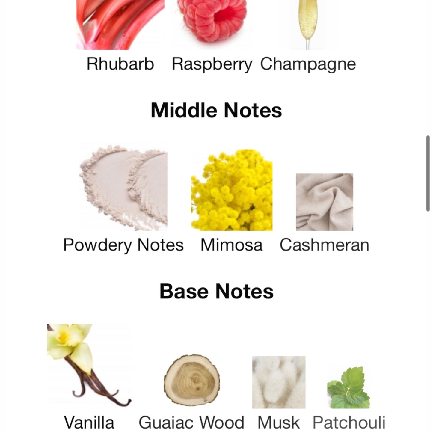 Cockatiel by Zoologist Extrait de Parfum