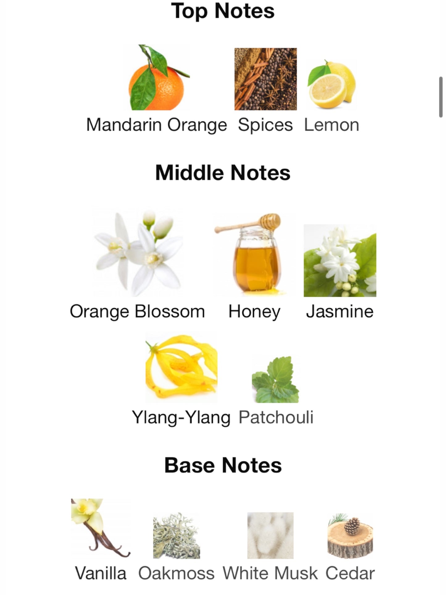 Orange Flowers by Montale Eau de Parfum