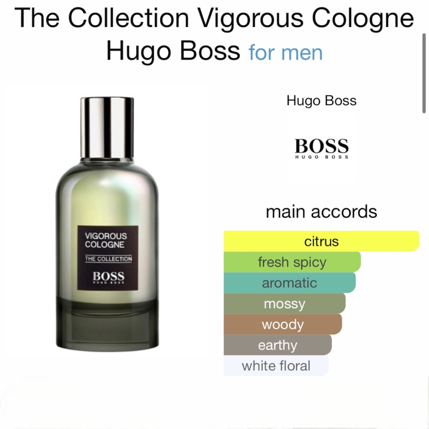 The Collection Vigorous Cologne by Hugo Boss Eau de Parfum