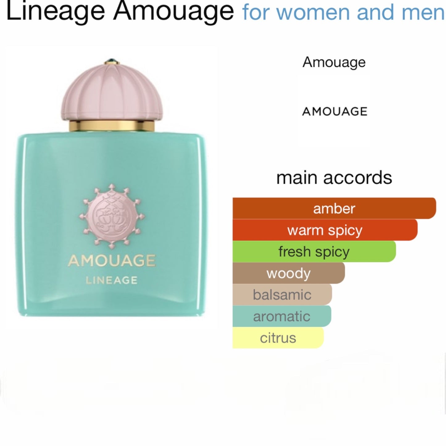 Lineage by Amouage Eau de Parfum