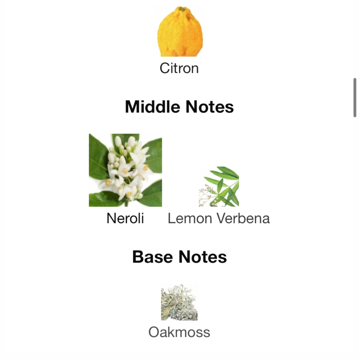 1921 by Gucci Eau de Parfum