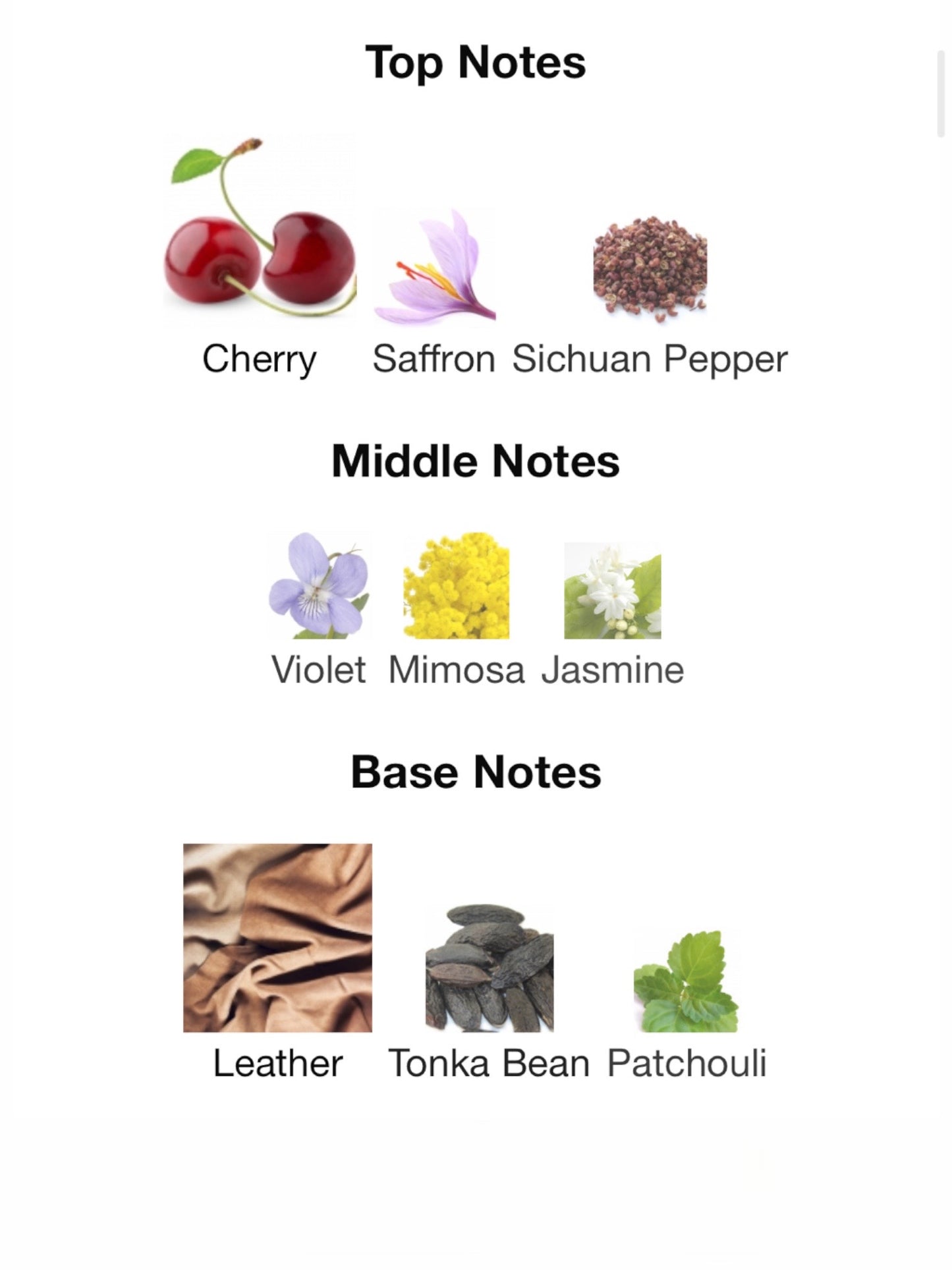 Cherry Punk by Room 1015 Eau de Parfum