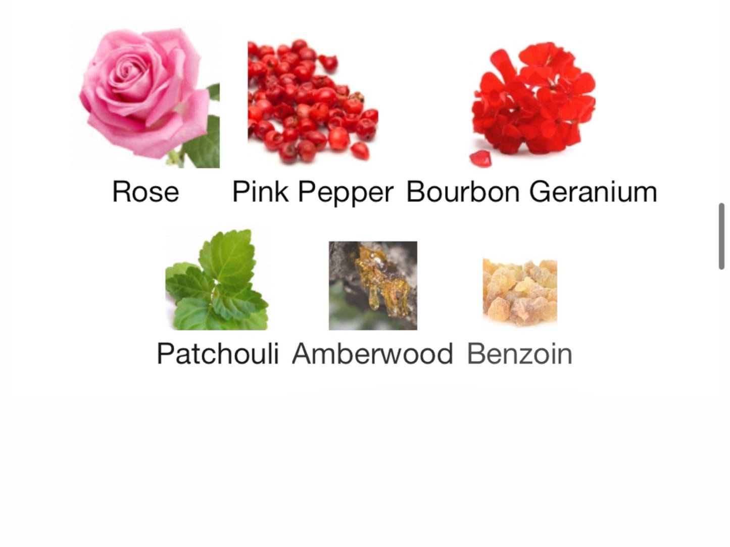 20 / 20 by J.F. Schwarzlose Berlin Eau de Parfum