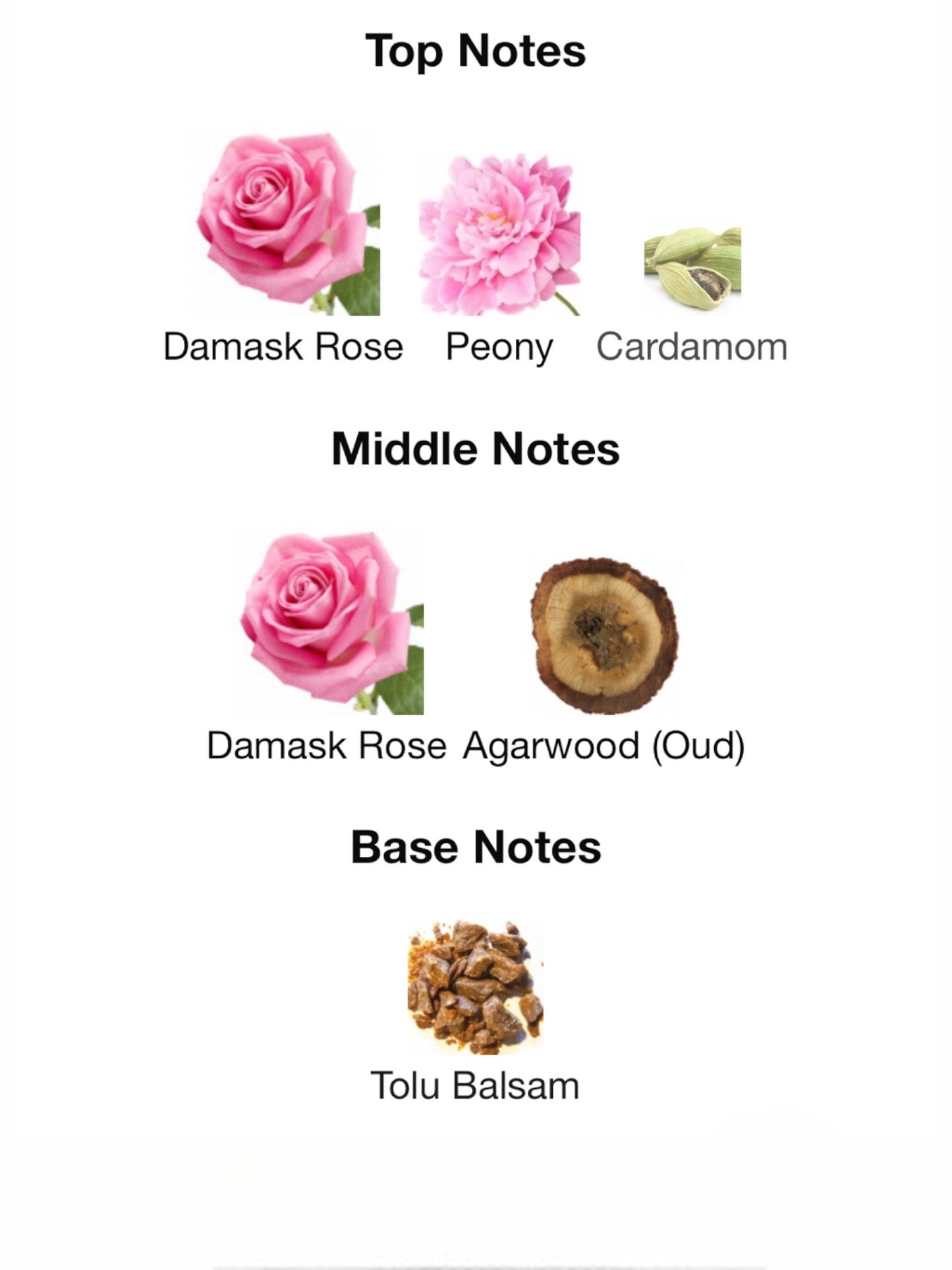 A Reason To Love by Gucci Eau de Parfum