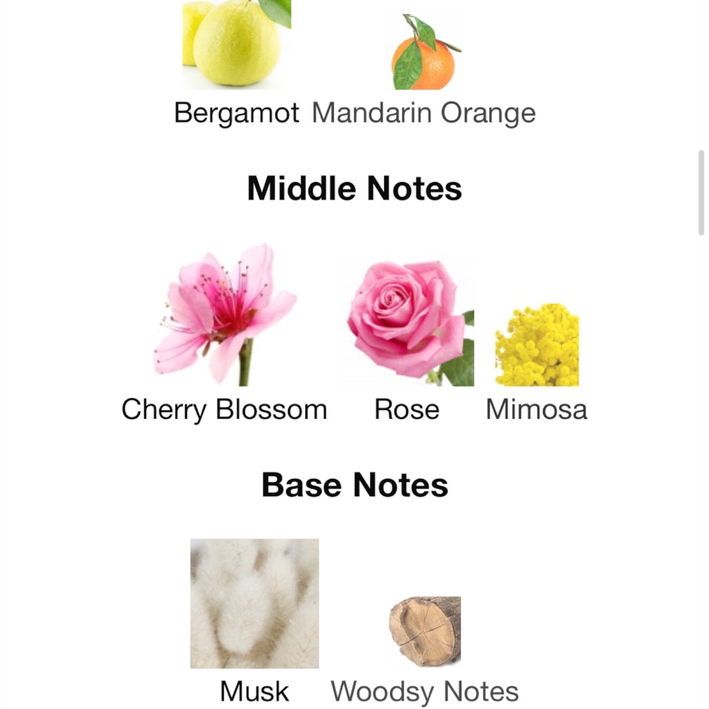 Sakura Cherry Blossom by Jo Malone London Cologne
