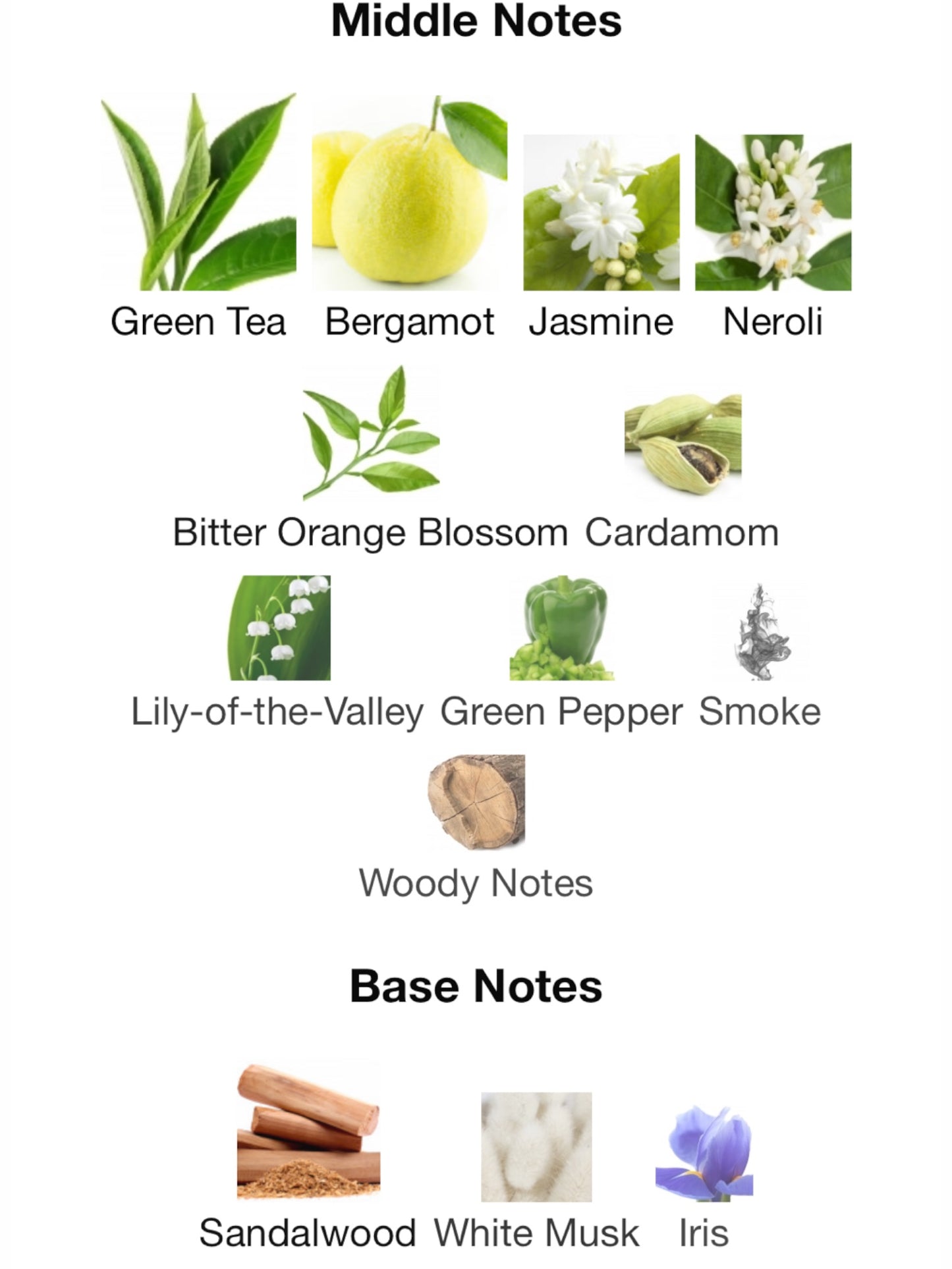 NO 1 Bergamot, Tea Leaves, Sandal Wood by Rosendo Mateu Olfactive Expressions