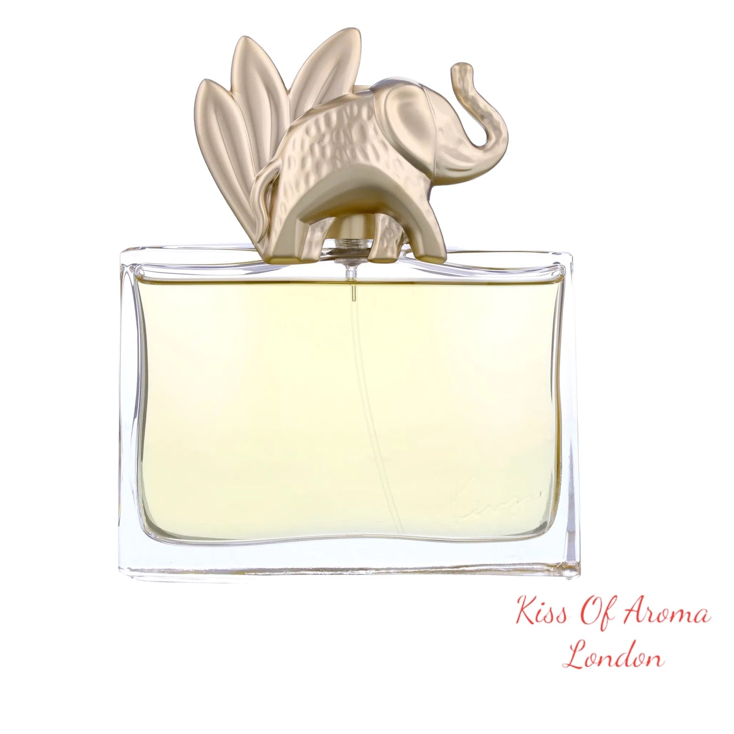 Kenzo Jungle L'Elephant by Kenzo Eau de Parfum