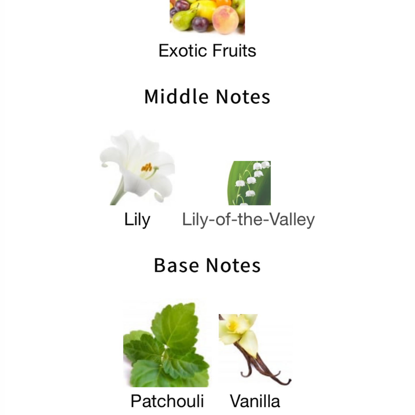 LILY EAU DE PARFUM by Theodoros Kalotinis