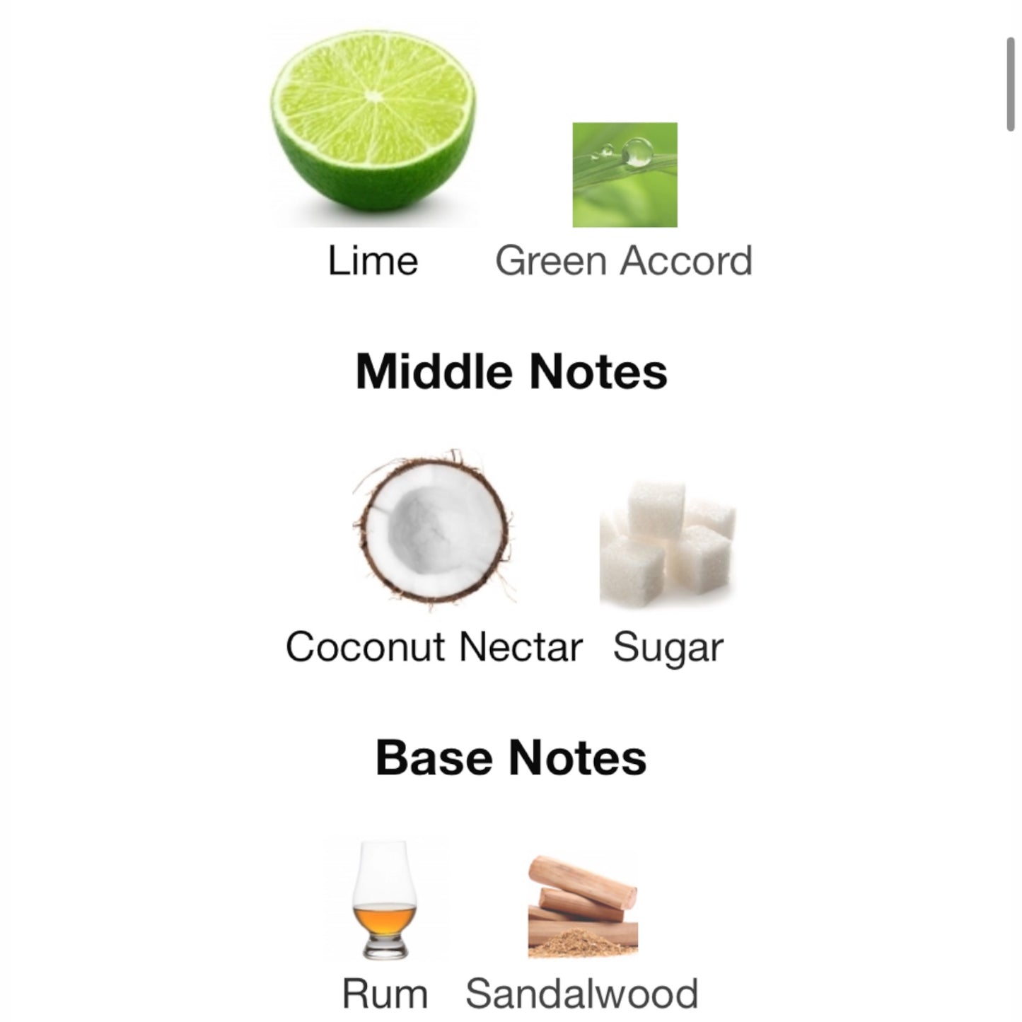 Malibu - Party in the Bay by Simone Andreoli Eau de Parfum