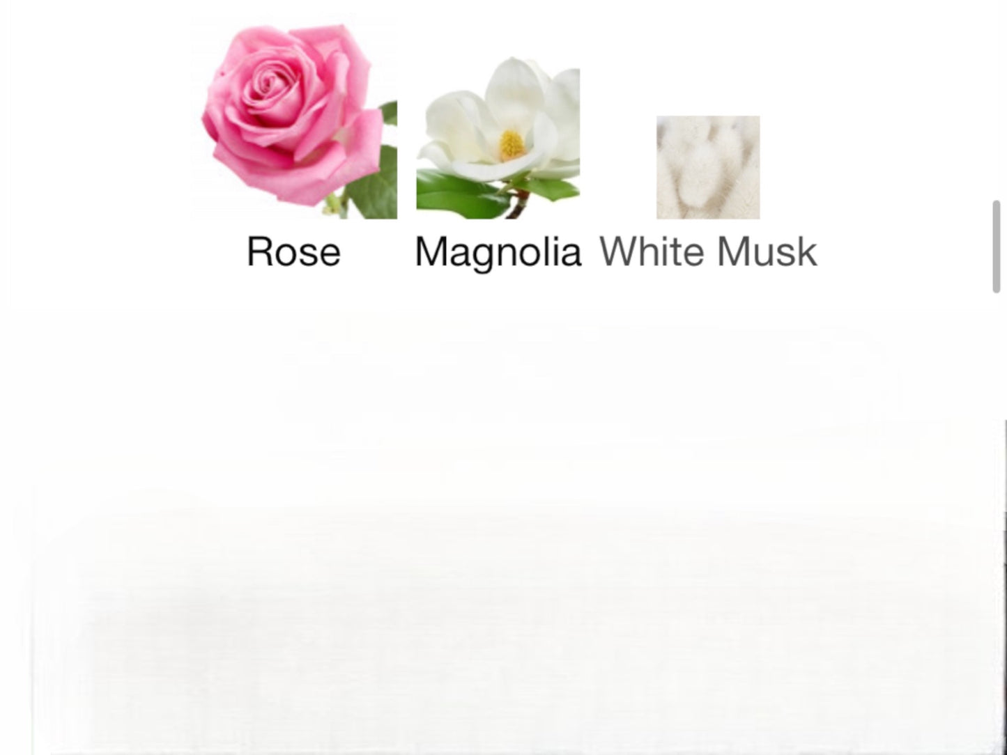 Magnolia Rosae by Lancôme Eau de Parfum