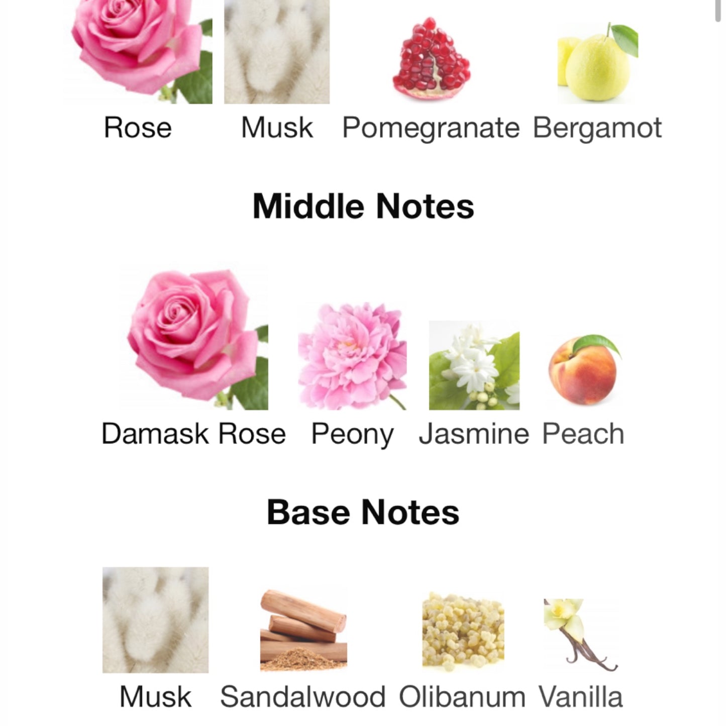 Rose Goldea by Bvlgari EAU De Parfum