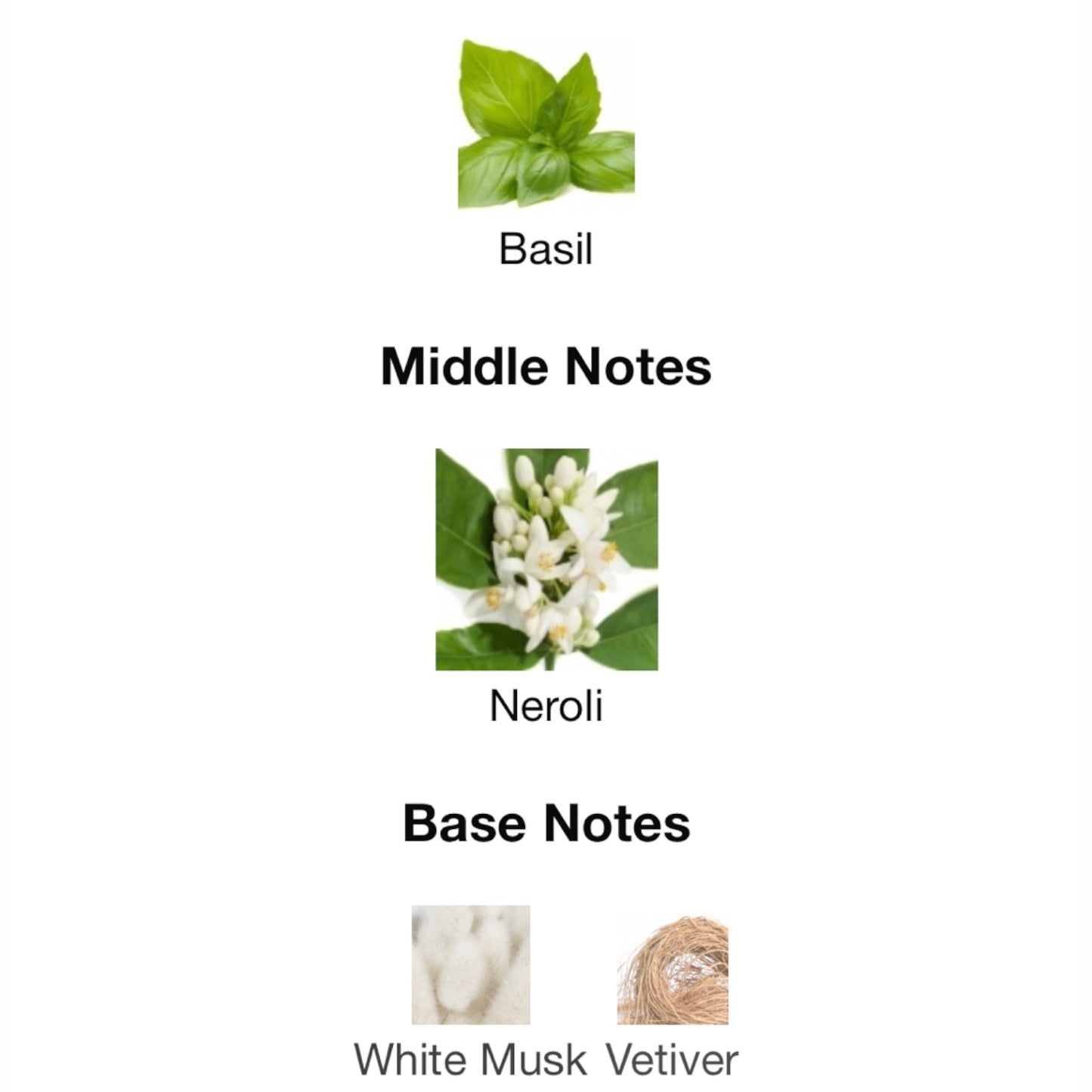 Basil and Neroli Cologne by Jo Malone London