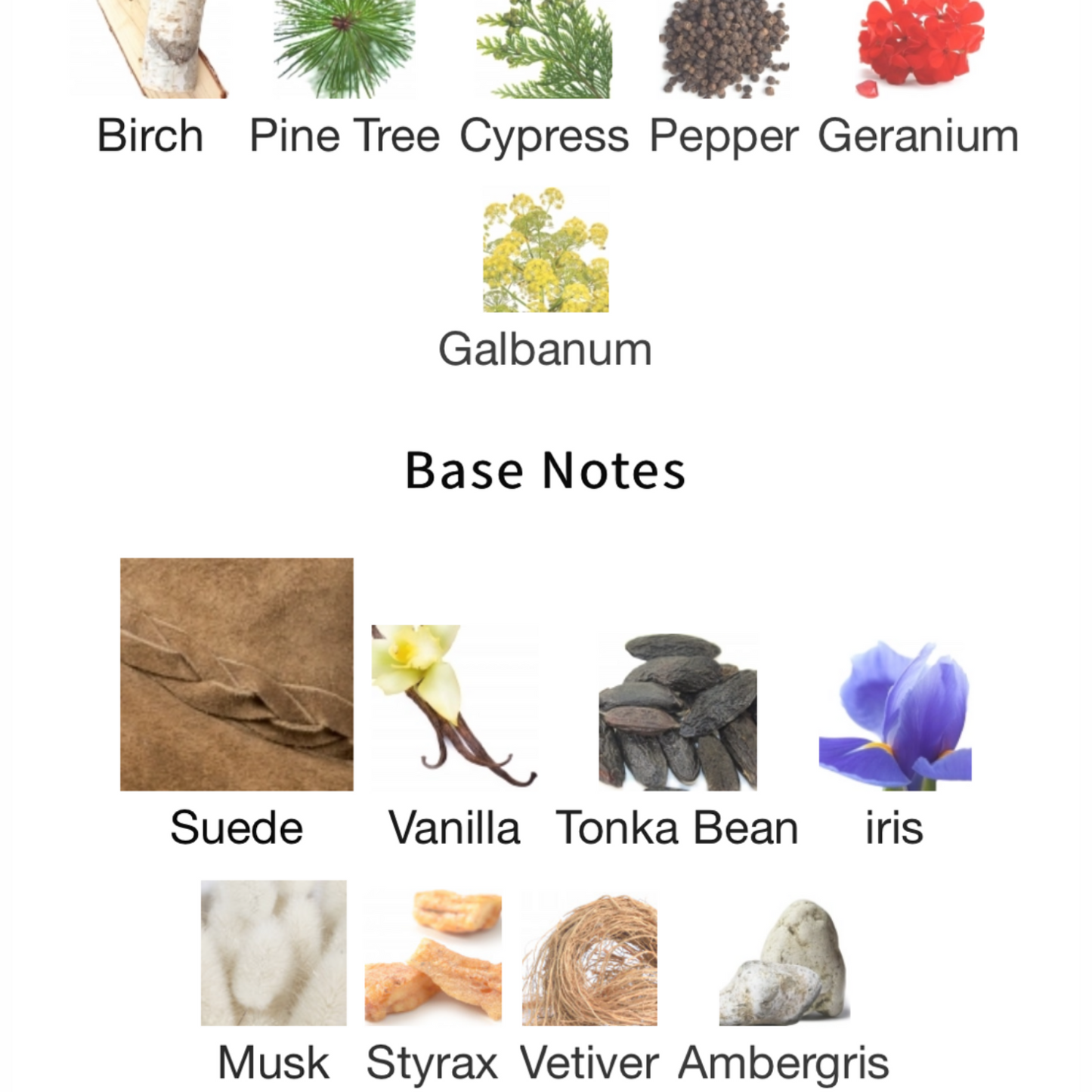 Tom of Finland by Etat Libre d'Orange Eau de parfum