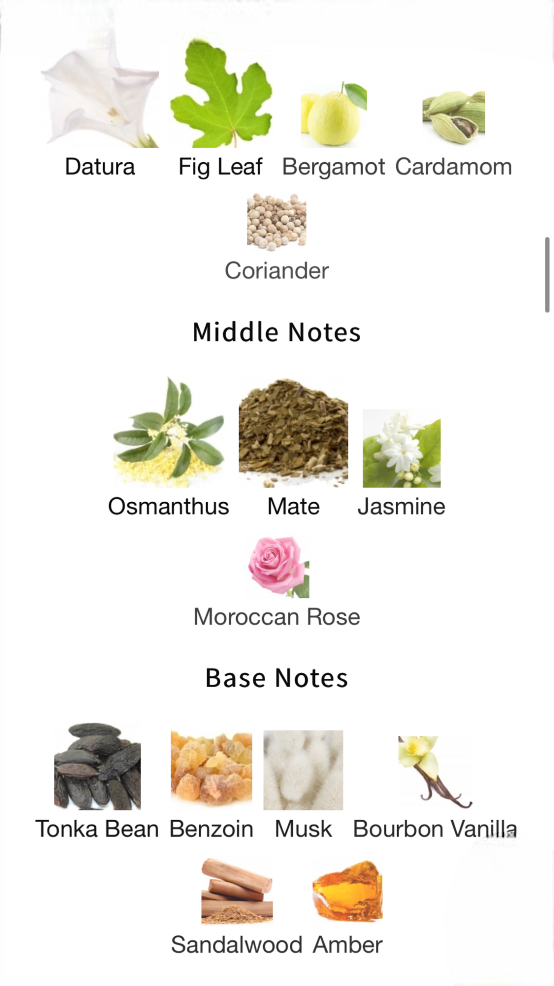 Pure Narcotic Boadicea the Victorious EAU de Parfum