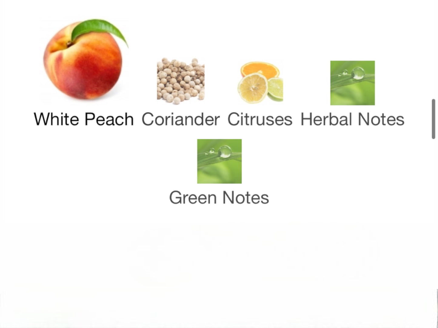 4711 Acqua Colonia White Peach & Coriander Cologne