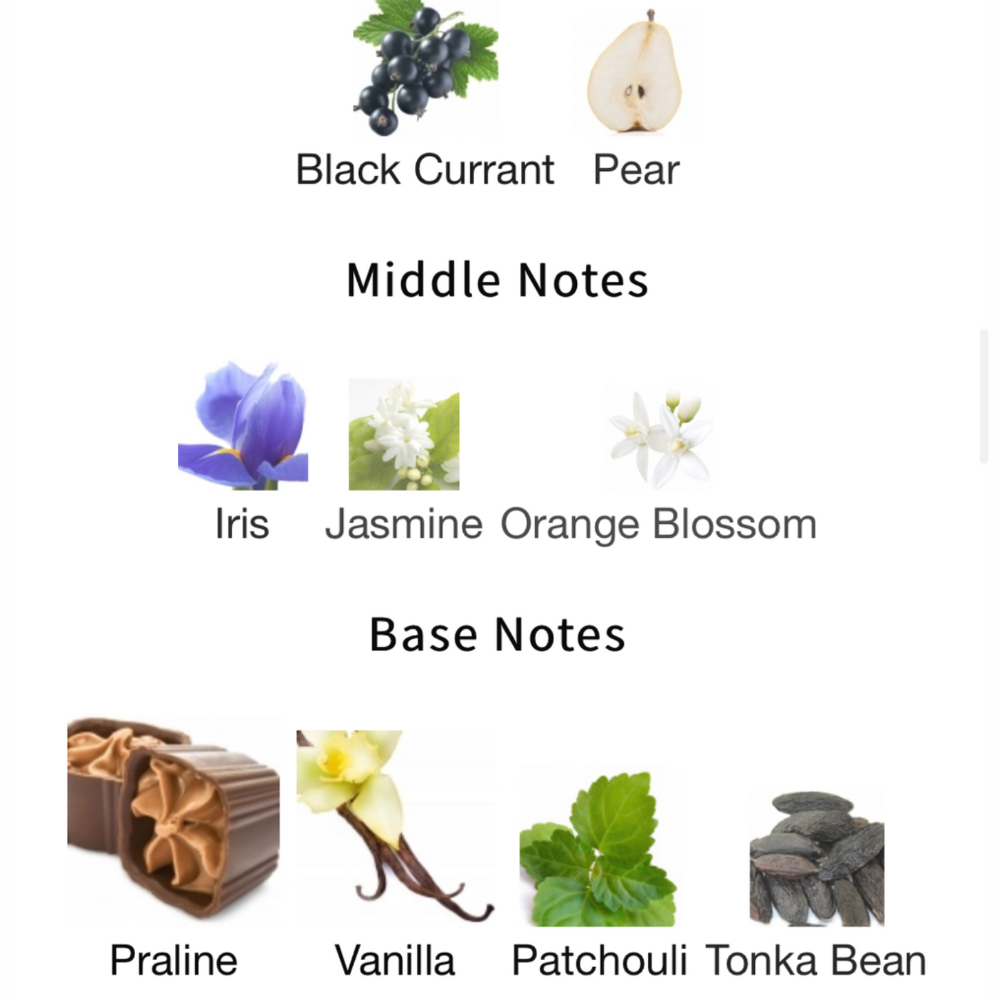 LA VIE EST BELLE EAU DE PARFUM