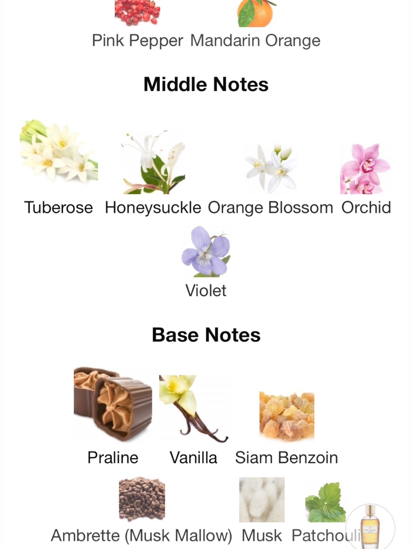 Rose Arabia Almond by WIDIAN Eau de Parfum