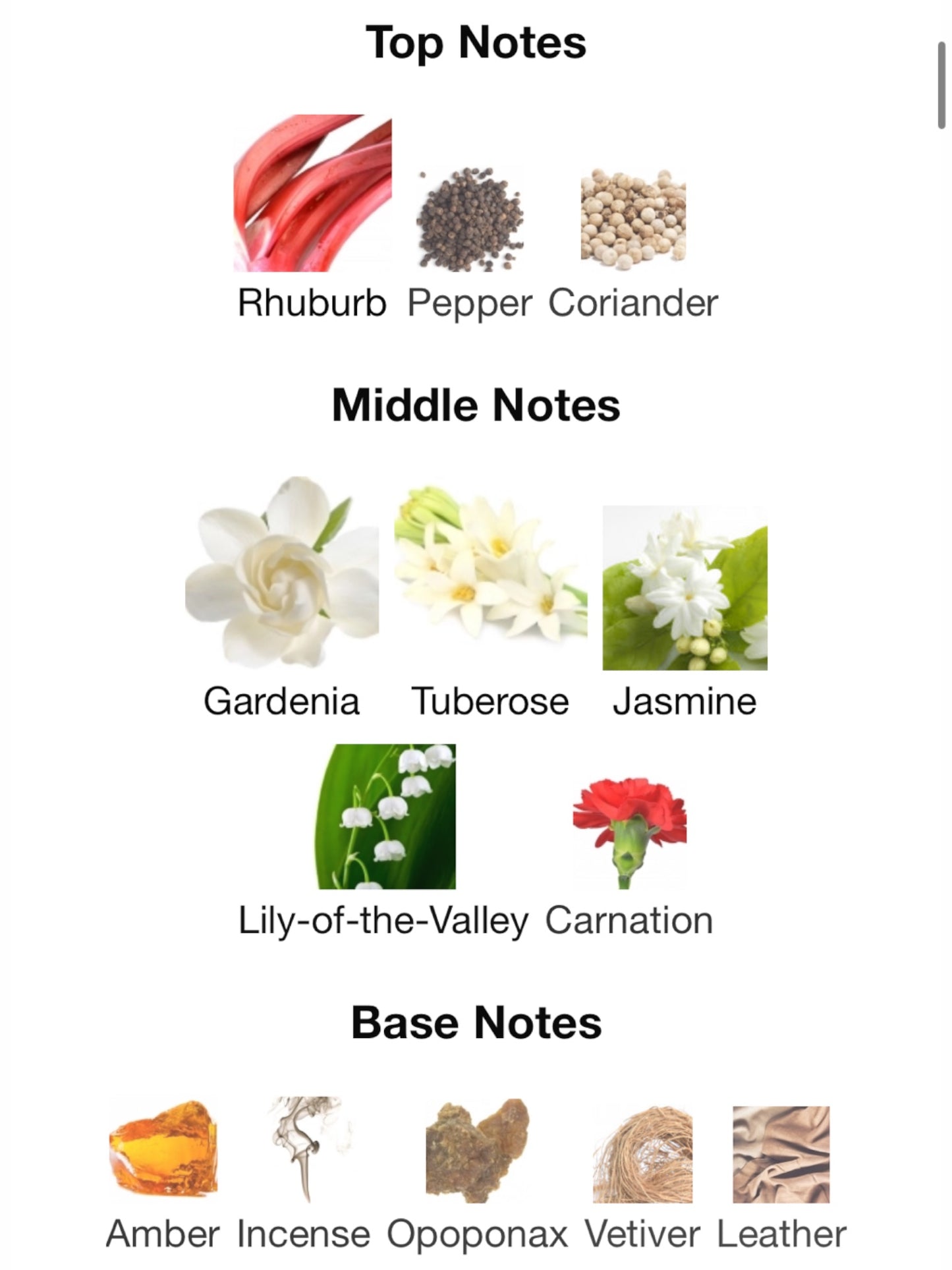 Amouage Honour Eau de parfum