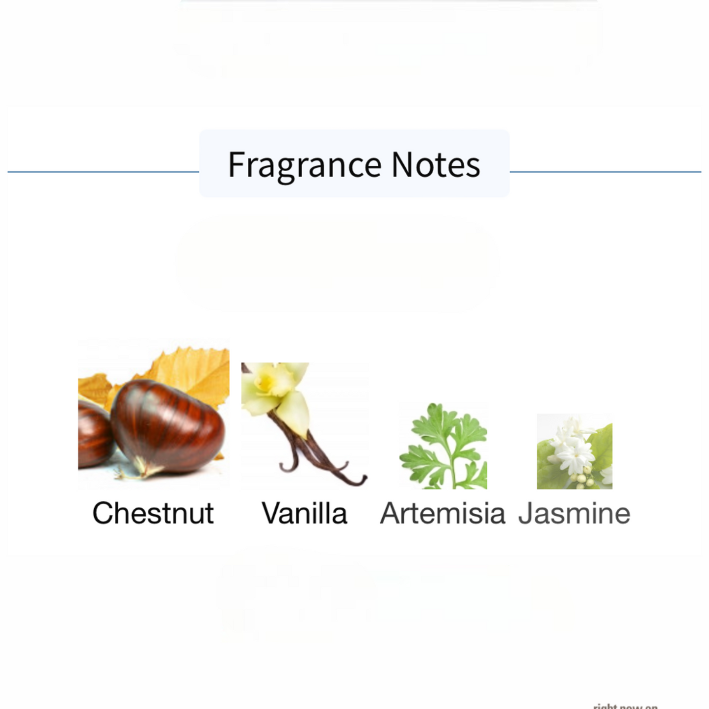 PANTHEON Trastevere Extrait de Parfum
