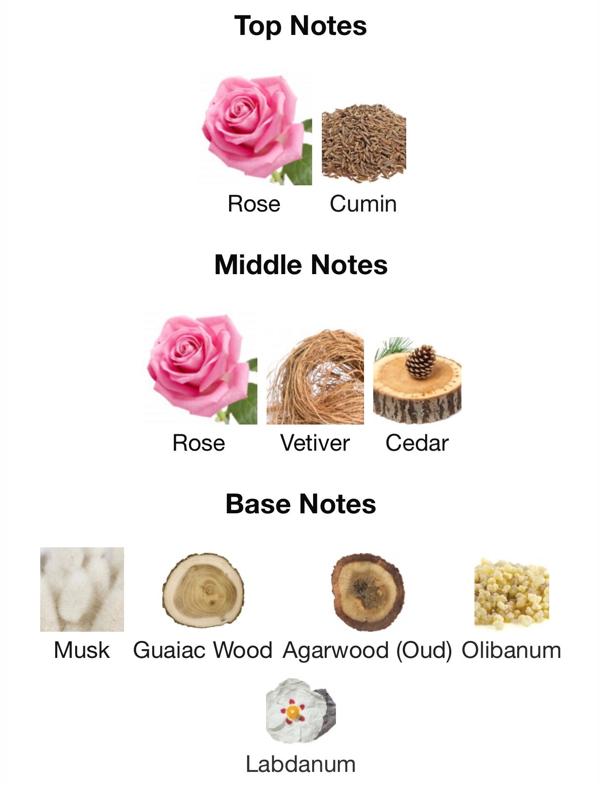Le Labo Rose 31 Eau de Parfum