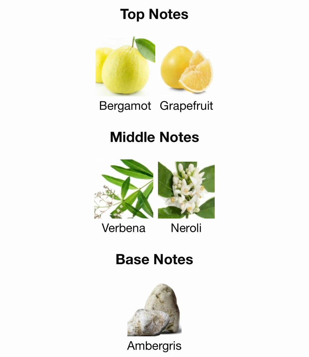 Creed Neroli Sauvage Eau de Parfum, Kiss Of Aroma