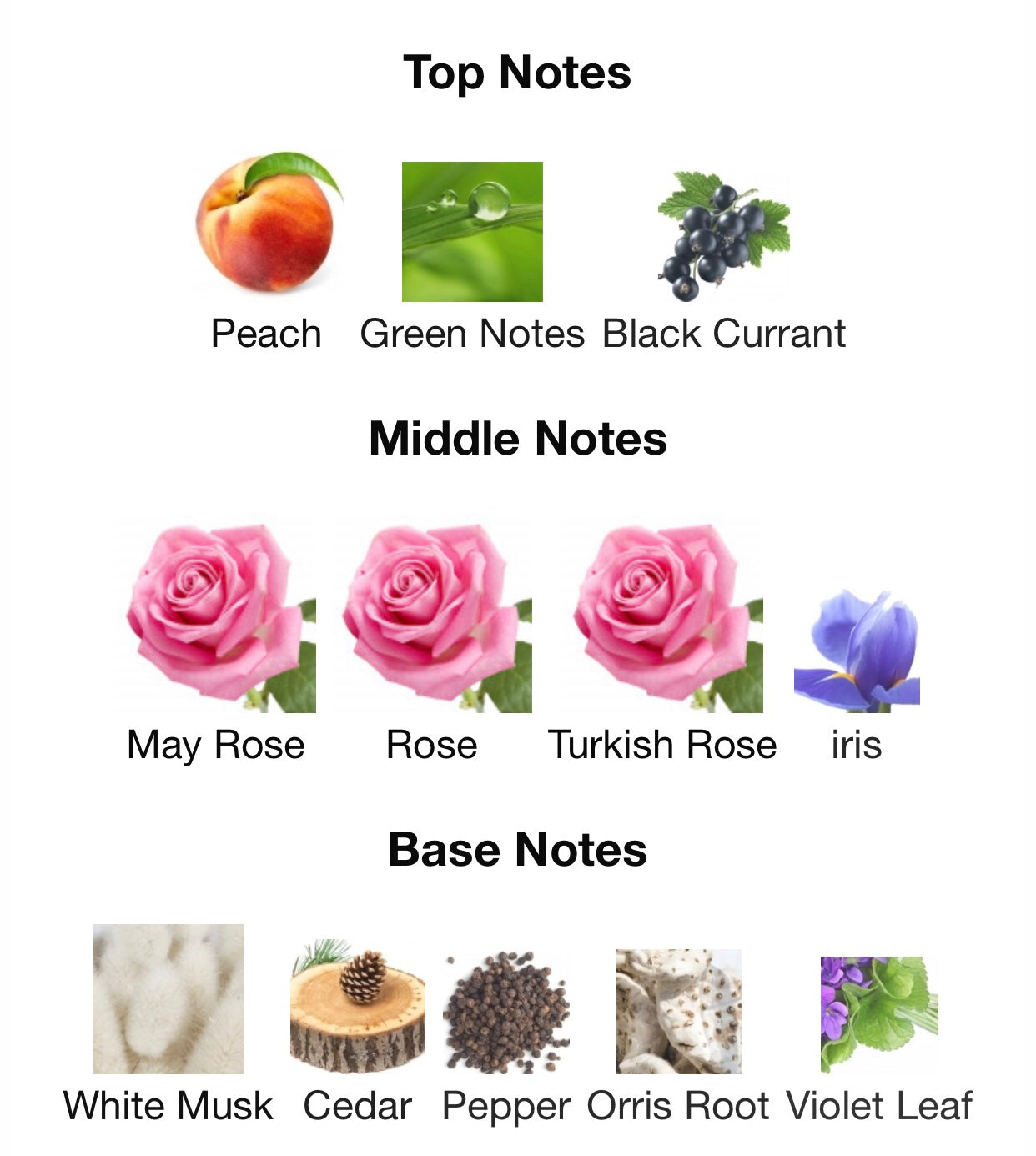 Rose Des Vents by Louis Vuitton Eau de Parfum